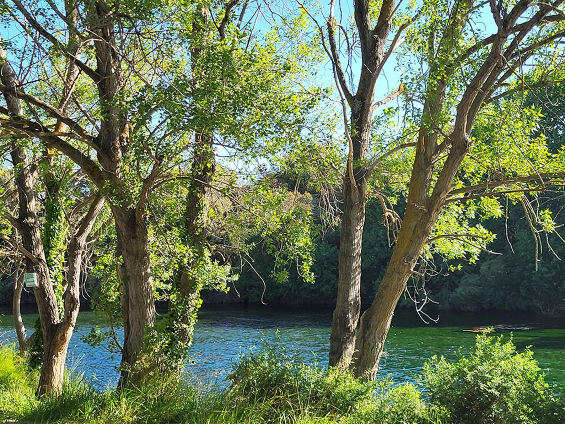 Camping Le Val De Cesse Mirepeisset Экстерьер фото